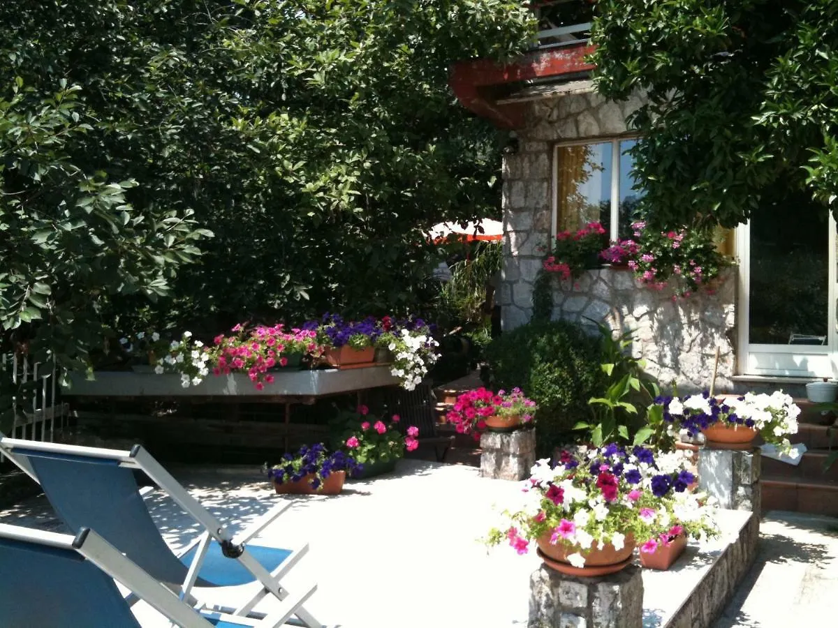 Apartments Doroti Ika Croatia